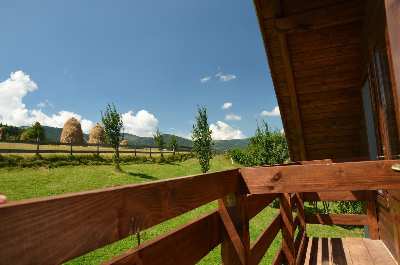 Cabana Denisa Arieşeni エクステリア 写真